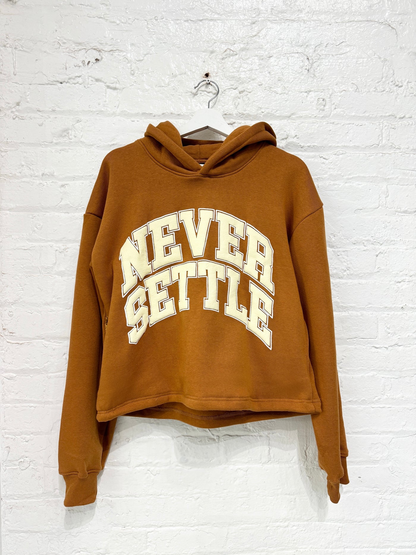 Collegiate Crop Hoodie(Rust)